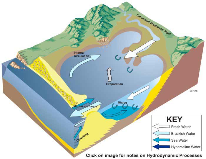 Block diagram of positive hydrology in wave-dominated estuaries