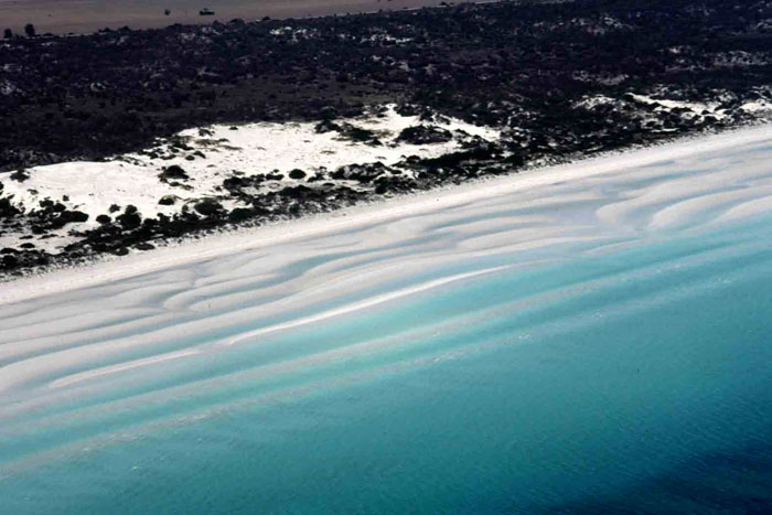  A series of low shore parallel intertidal sand ridges off the beach at Hardewicke Bay, Spencer Gulf, South Australia. (Photo: A D Short).