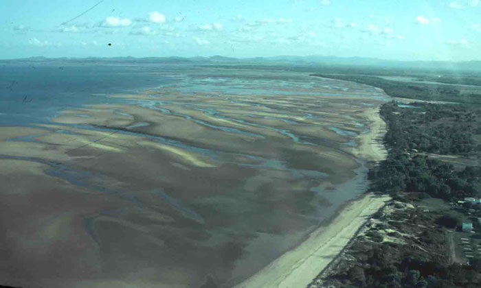 A high tide beach fronted by intertidal sand flats crossed by btidal drainage channels, Far Beach, Mackay, Queensland. (Photo: A D Short).