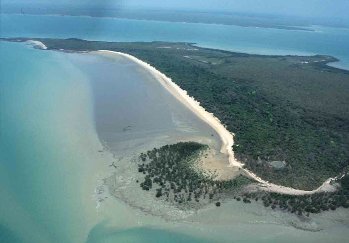 A sandy high tide beach fronted by 200 m wide intertidal mud flats and fringed by mangroves at Hut Point, western Northern Territory. (Photo: A D Short).