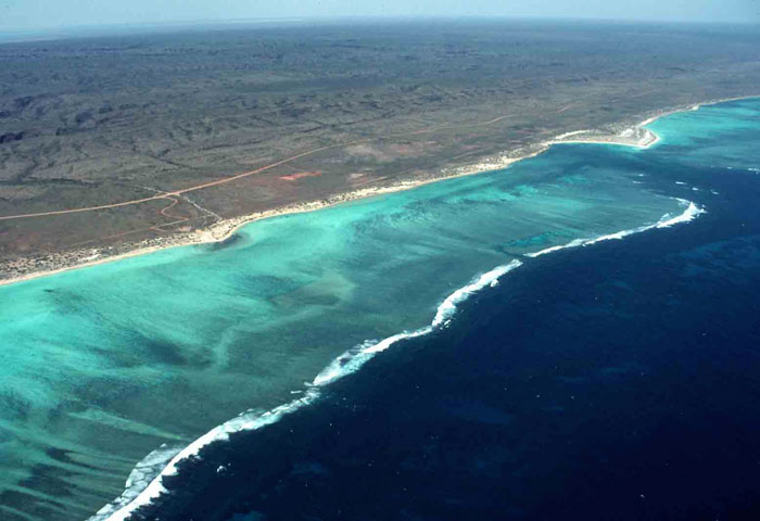 Section of the fringing Ningaloo reef (Western Australia) showing the several hundred metre wide reef and backing narrow high tide beach. (Photo: A D Short).