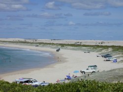 Photo of 4WD vehicles on beach at Dark Point in Myall Lakes National Park