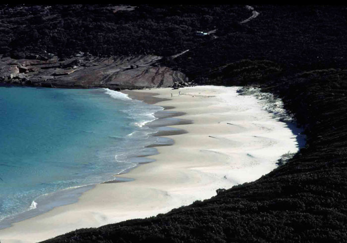 A well developed reflective beach containing high tide beach cusps at Hammer Head, south Western Australia (photo: A D Short).