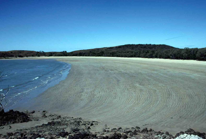 Ultradissipative beach at Stanage Bay, central Queensland, showing the wide low gradient essentially featureless intertidal zone. (Photo: A D Short).