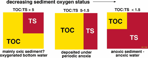 Figure of dissolved oxygen, TS and TOC in sediments