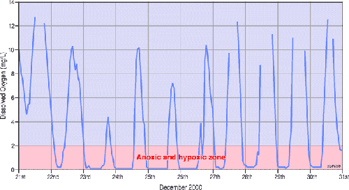 Figure of diurnal variations in surface dissolved oxygen concentrations in Lake Wollumboola in December 2000