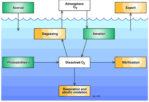 Figure of oxygen dynamics in coastal waters
