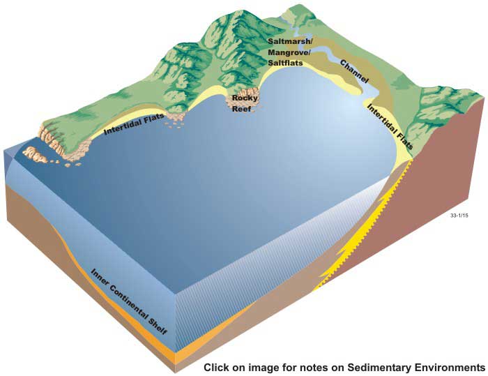 Block diagram of sedimentary environments in embayments
