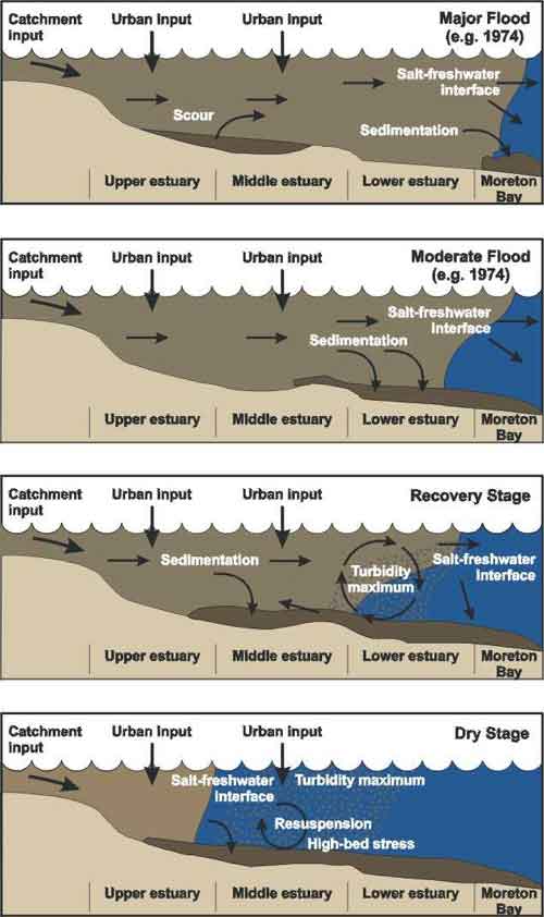 Conceptual model of some processes maintaining turbidity in the Brisbane River Estuary, QLD