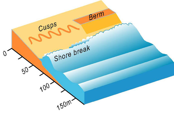  Reflective Wave-dominated beach conceptual model showing waves breaking right at the shore where they may form cusps (left) or a straight berm (right) on the high tide beach.