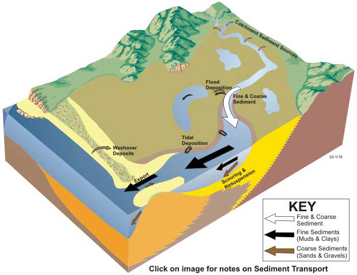 Block diagram of sediment transpoert in wave-dominated estuaries