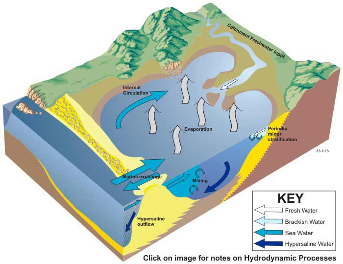 Block diagram of negative hydrology in wave-dominated estuaries