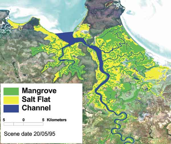 Figure of the mangrove areas in the Adelaide River, NT