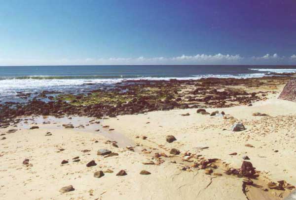 Photo showing stormwater draining onto the intertidal zone