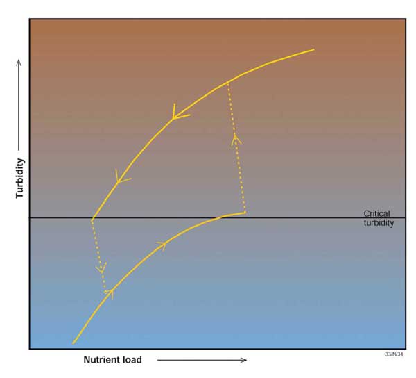 Hysteresis in terms of nutrients and turbidity.