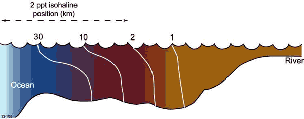 Schematic illustration showing the 30, 10, 2 and 1 ppt isohalines in vertical section and how the 2 ppt isohaline position is measured