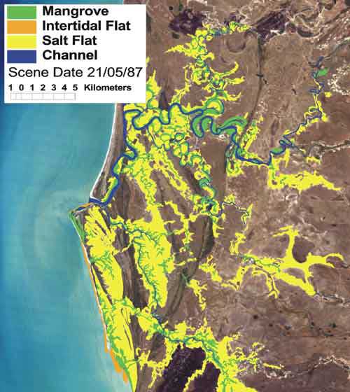 Figure of saltmarsh+saltfalt areas in the Nassau River, QLD