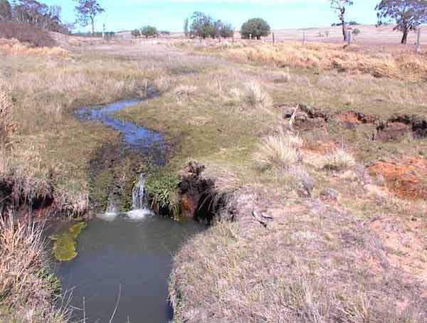 An example of a nick point in Durran Durra Creek, Upper Shoalhaven Catchment (photo courtesy of Upper Shoalhaven Landcare Council)