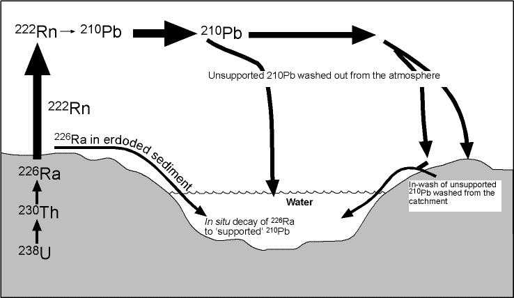 Figure showing the pathways by which 210Pb reaches aquatic sediments