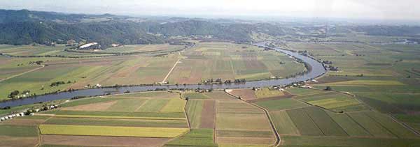 Photo of agricultural areas in the Tweed River catchment