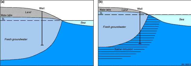 Saltwater-freshwater interface in: (a) an unconfined (hypothetical) coastal aquifer; and (b) the same aquifer under a sea-level rise scenario.