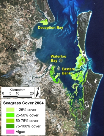 Figure of Seagrass cover map of the seagrass in Moreton Bay, Australia
