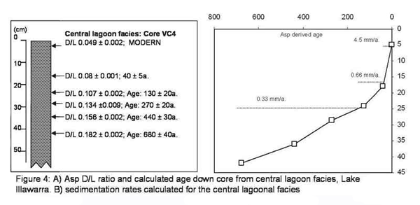 Figure of Asp D/L ratio and calculated age down core from central lagoon facies, Lake Illawarra.