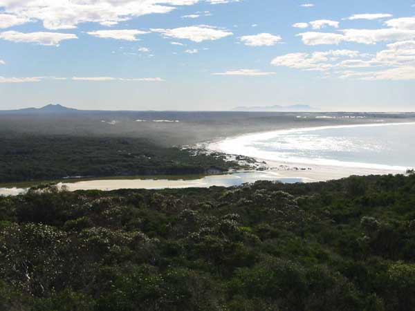 Photo showing the natural vegetation cover is relatively intact in the lower catchment of St. Mary's Inlet, WA