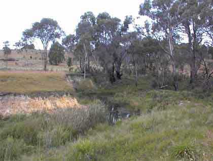 An eroding bank in Tantulean Creek in NSW (photo courtesy of Upper Shoalhaven Landcare Council)