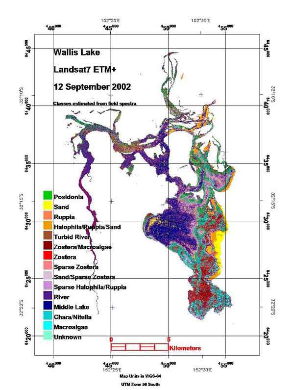 Figure of benthic substrate classification in Wallis Lake, NSW