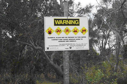 Photo of Sign warning of the dangers of harmful algae.
