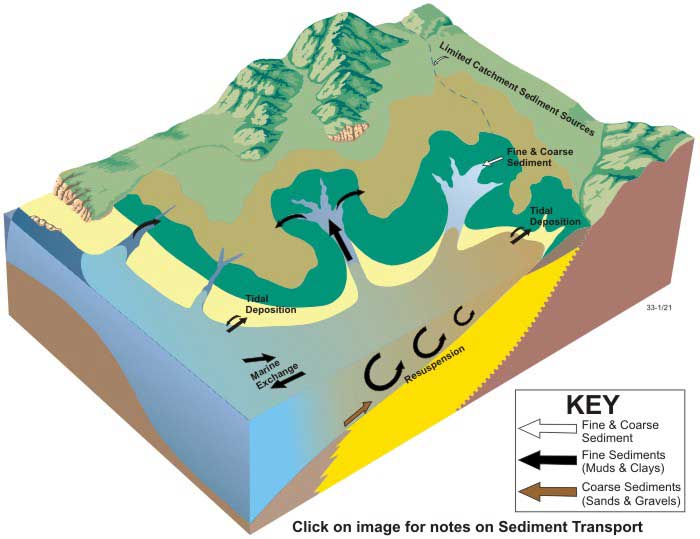 Block diagram of sediment transport in tidal creeks