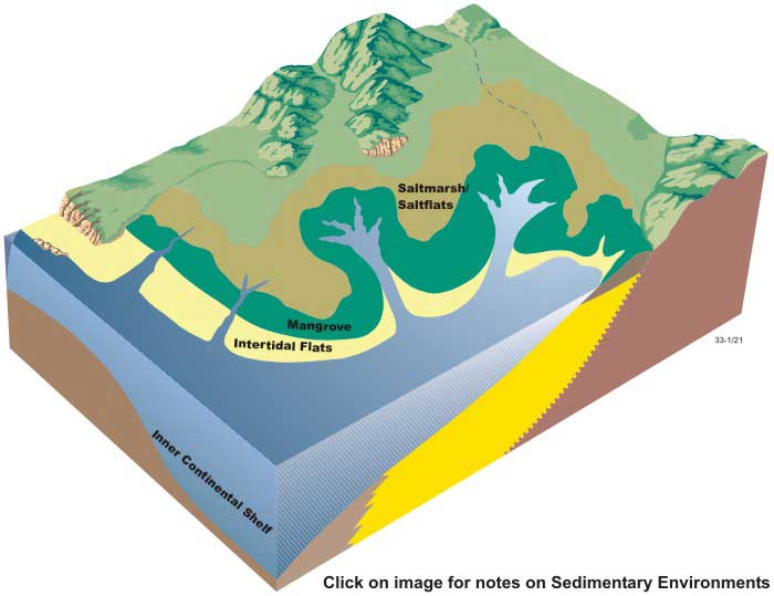 Block diagram of sedimentary environments in tidal creeks