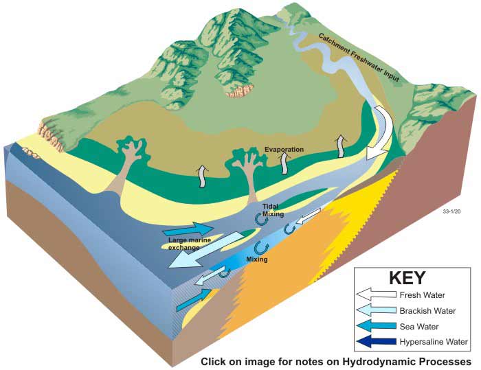 Block diagram of hydrology in a tide-dominated delta