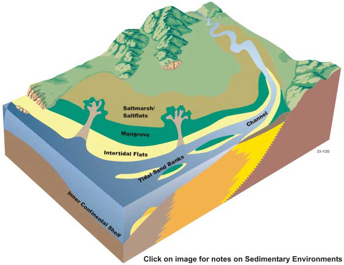Block diagram of sedimentary environments in tide-dominated deltas
