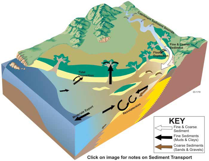 Block diagram of sediment transport in tide-dominated estuaries
