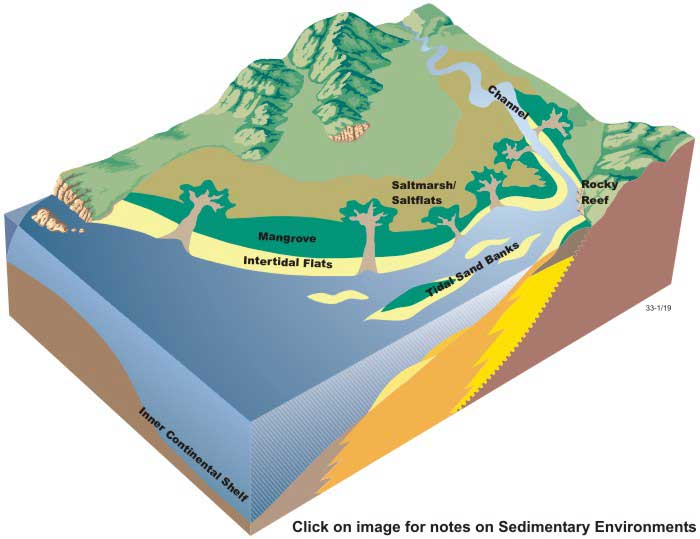 Block diagram of sedimentary environemnts in tide-dominated estuaries
