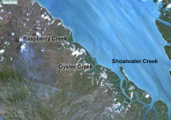 Landsat image of Raspberry Creek, Oyster Creek and Shoalwater Creek, North Queensland