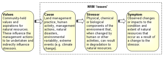This diagram shows that causes or symptoms of natural resource problems and stressors 
are all commonly used to describe NRM 'issues'.